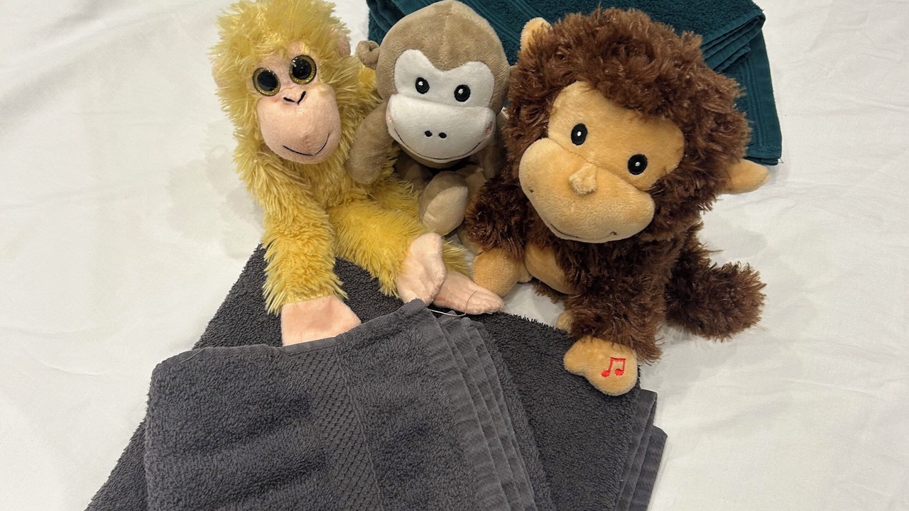 Photo of Others in Charmettes - Bellecombe