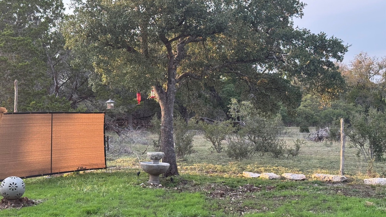 Photo of Outdoor in Spring Branch