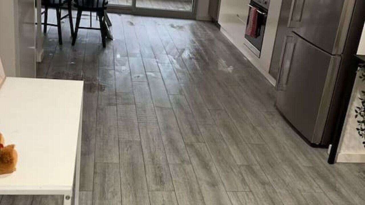 Photo of Kitchen in Camperdown