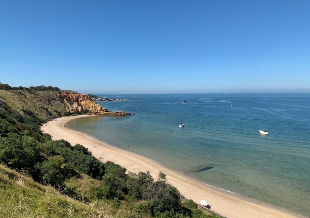 Photo of Others in Sandringham