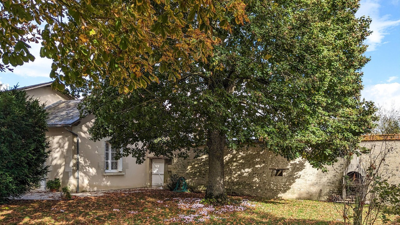 Photo of Others in Ceaux-en-Loudun