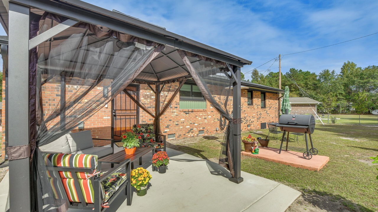 Photo of Outdoor in Pine Forest
