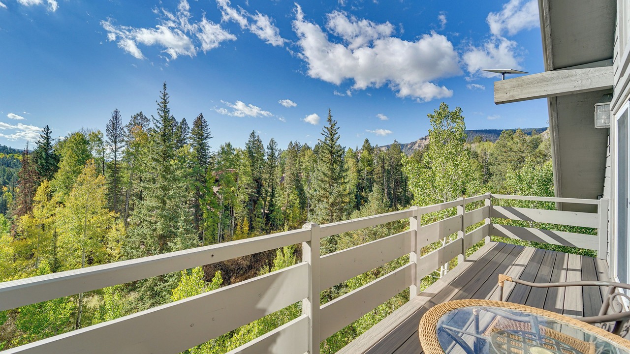 Photo of Patio Balcony in Columbine Lake