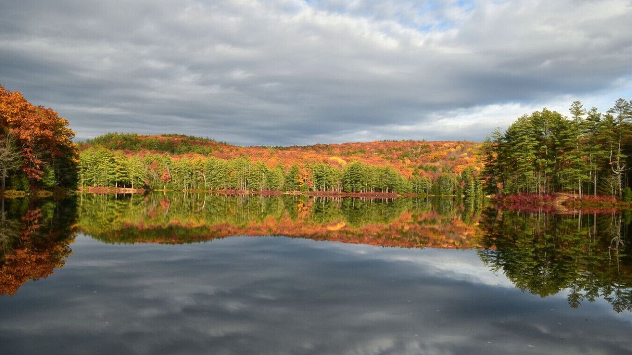 Photo of Others in Tyringham