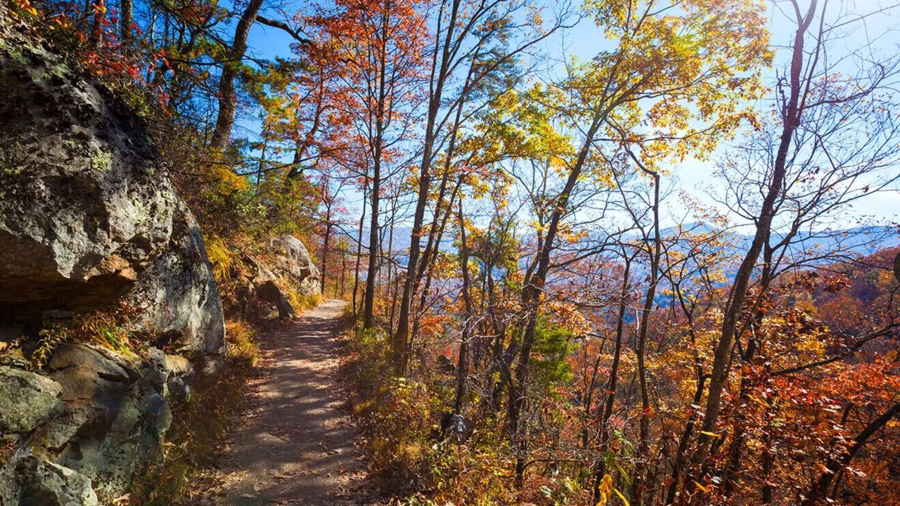 Photo of Others in Tyringham