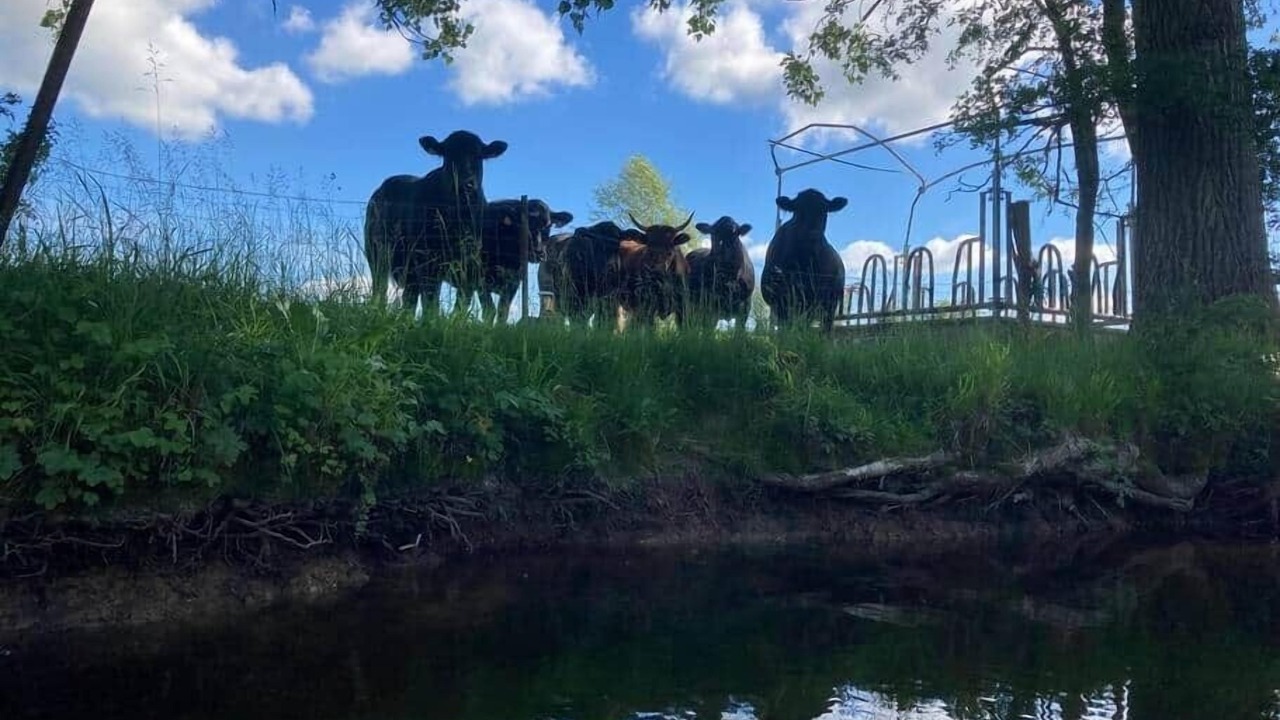 Photo of Others in Crecy-sur-Serre