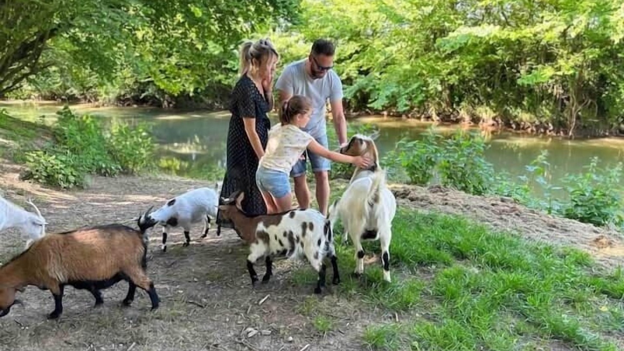 Photo of Others in Crecy-sur-Serre