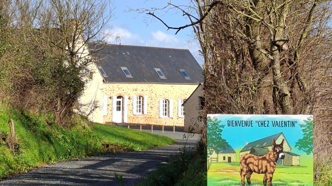 Photo of Outdoor in Saint-Denis-d'Anjou