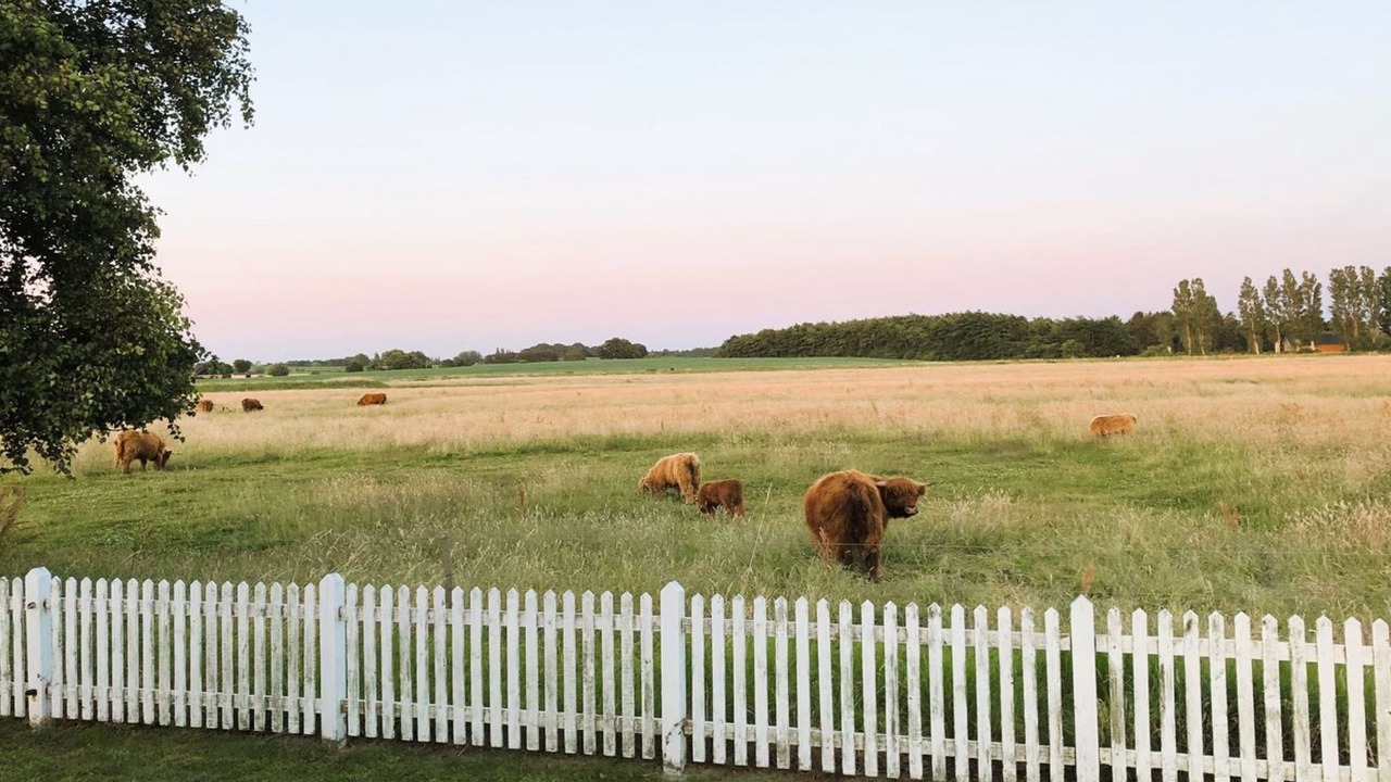 Photo of Others in Mesinge