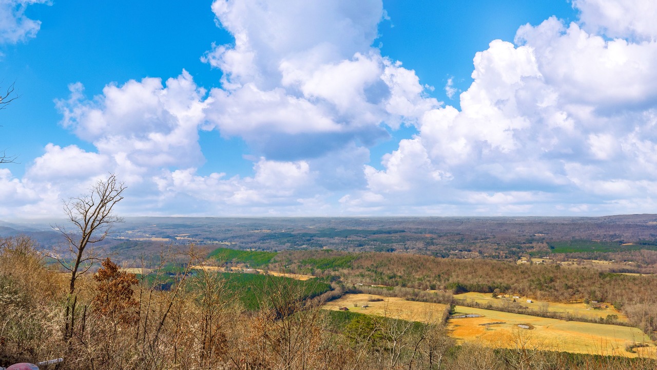 Photo of Others in Valley Head