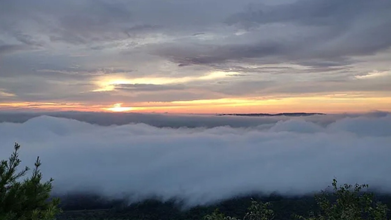 Photo of Others in Valley Head