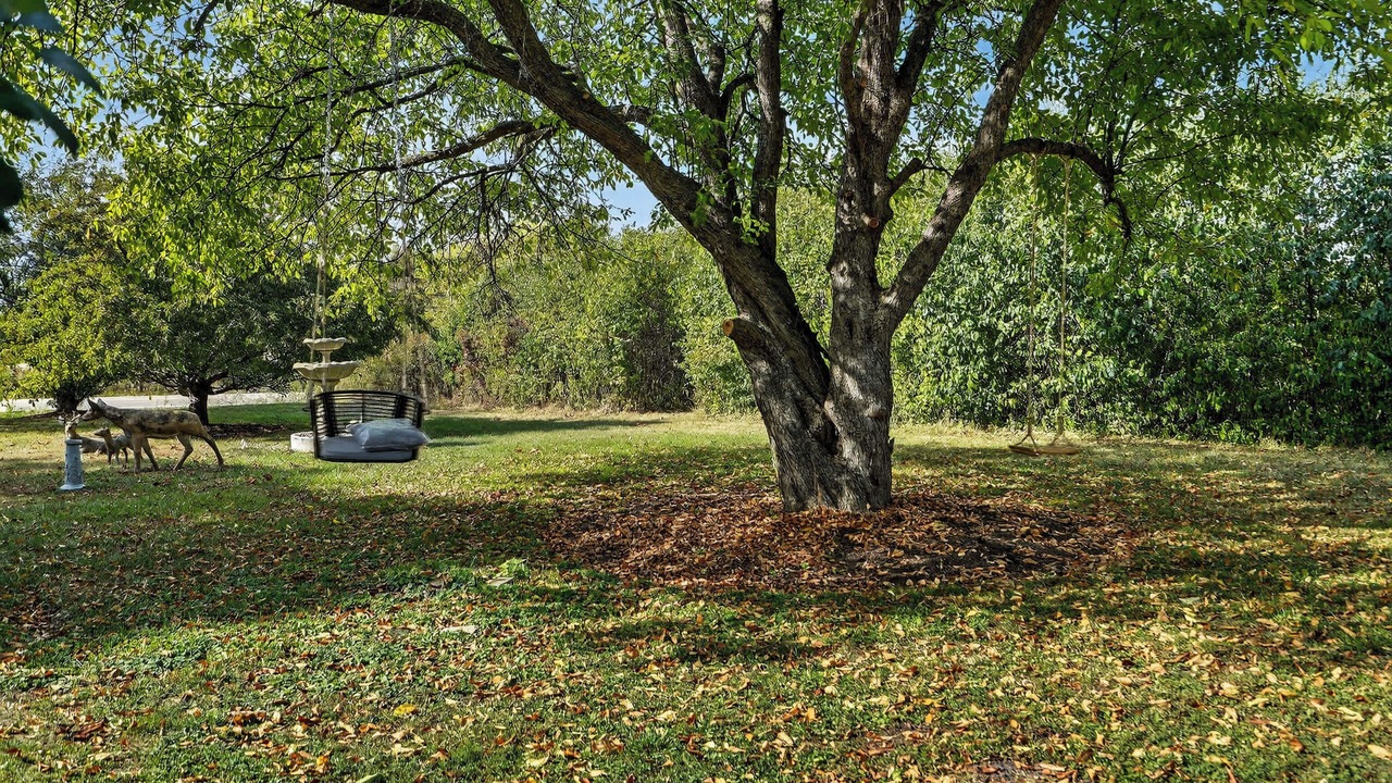 Photo of Outdoor in Waukegan
