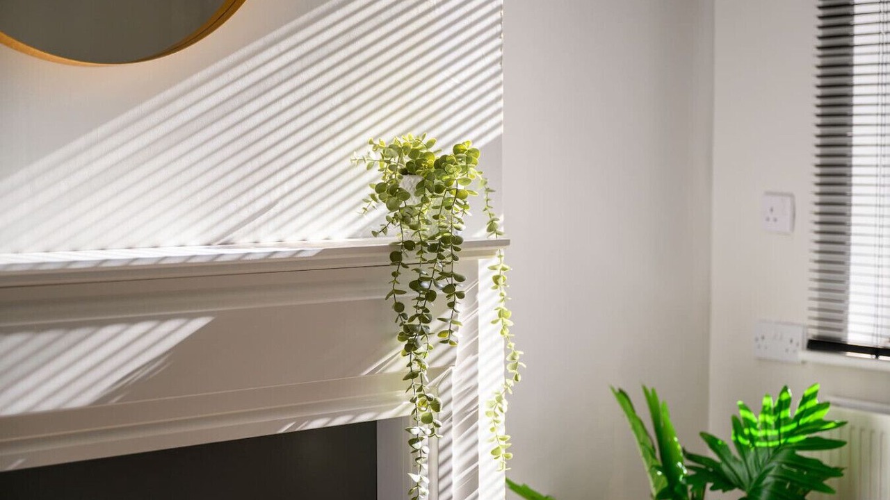 Photo of Others in Melbourne