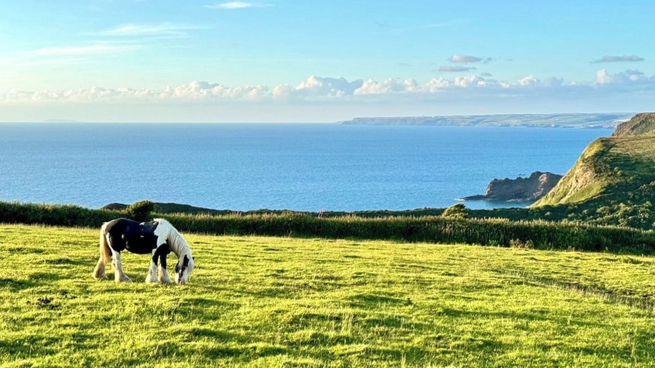 Photo of Others in St. Gennys