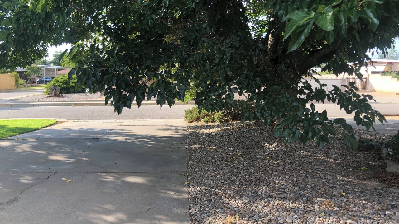Photo of Outdoor in Northeast Heights