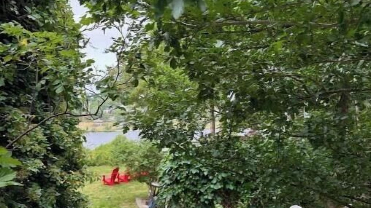 Photo of Outdoor in Quidi Vidi