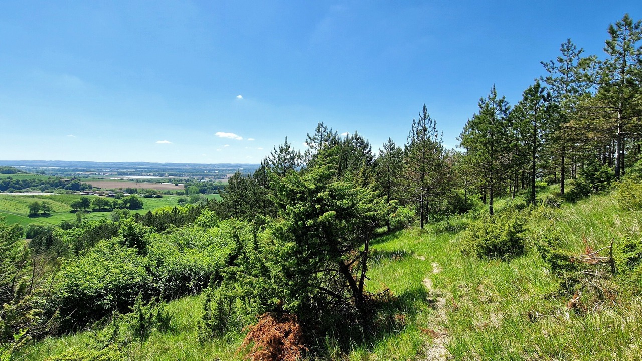 Photo of Outdoor in Clairac