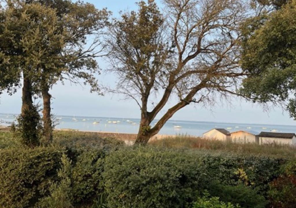 Photo of Others in Noirmoutier-en-l'Ile