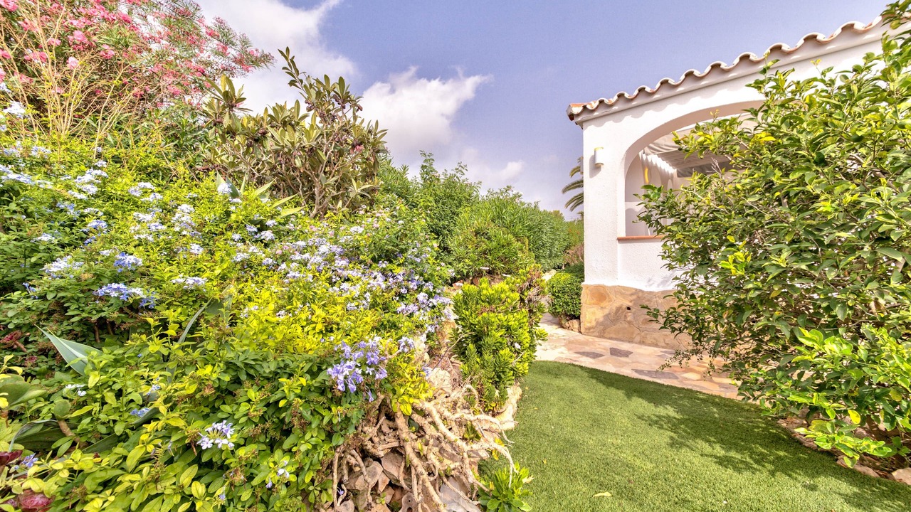 Photo of Outdoor in Costa Nova