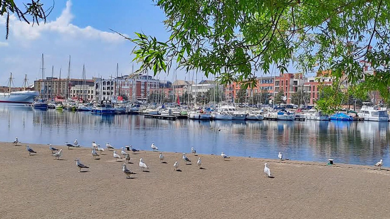 Photo of Others in Dunkerque Centre