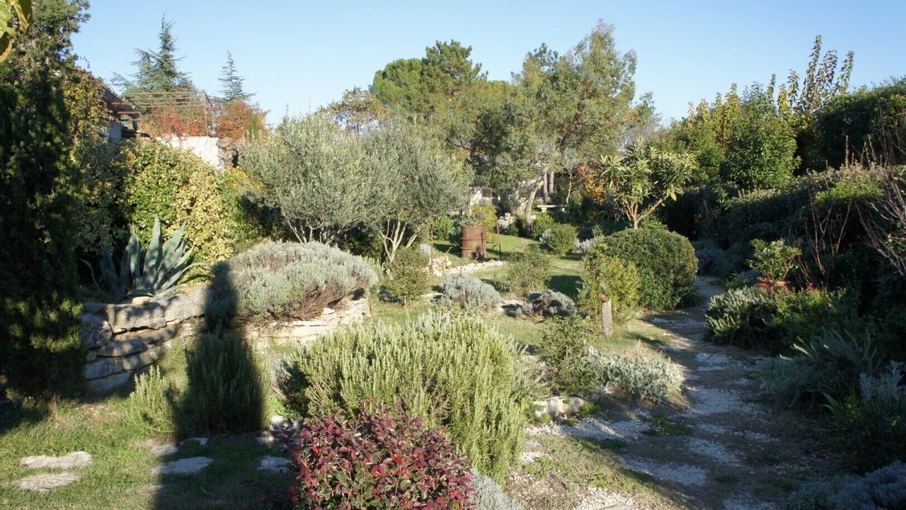 Photo of Outdoor in Chandolas
