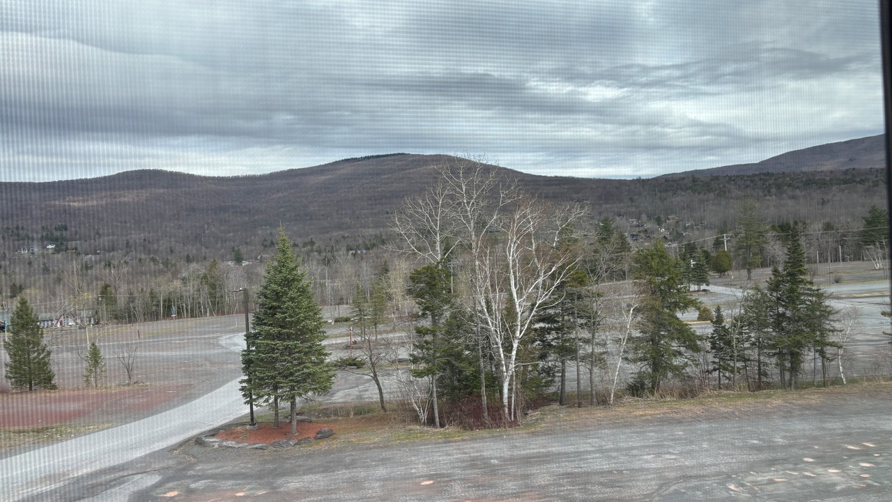 Photo of Others in Hunter