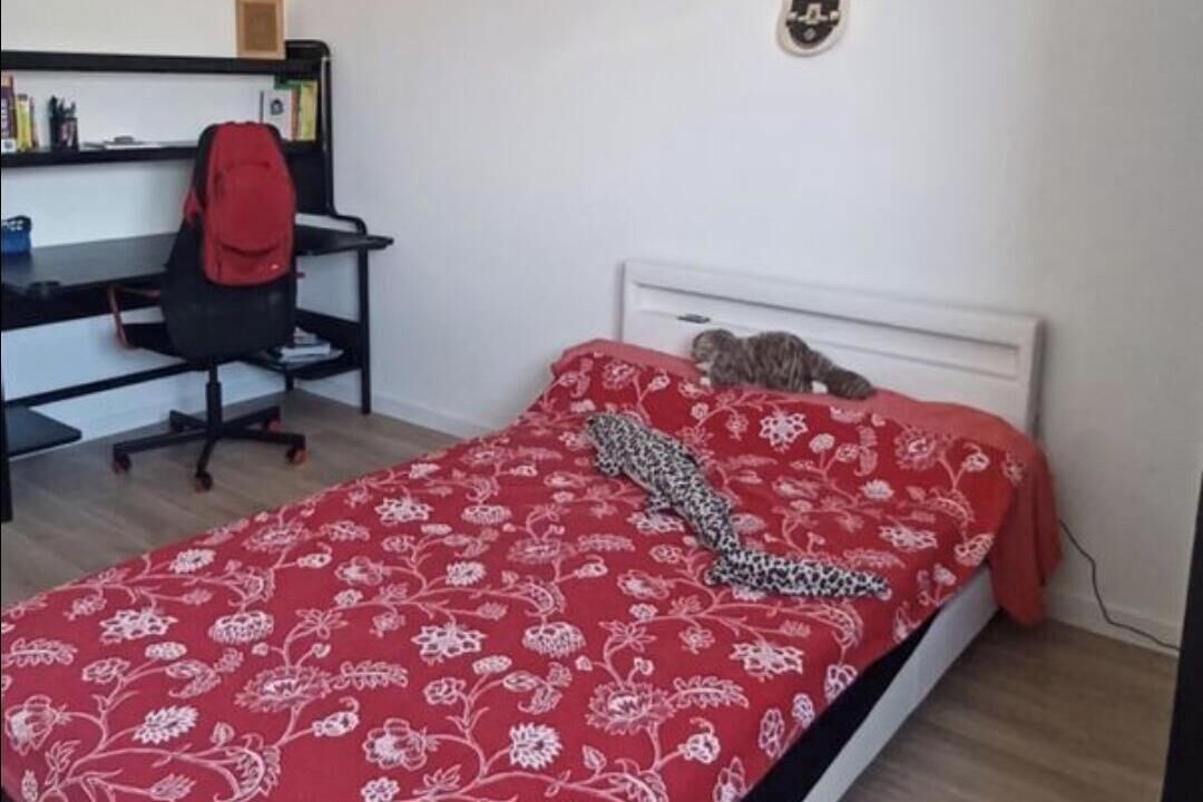 Photo of Bedroom in Colomiers