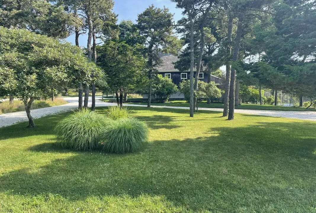 Photo of Outdoor in Surfside