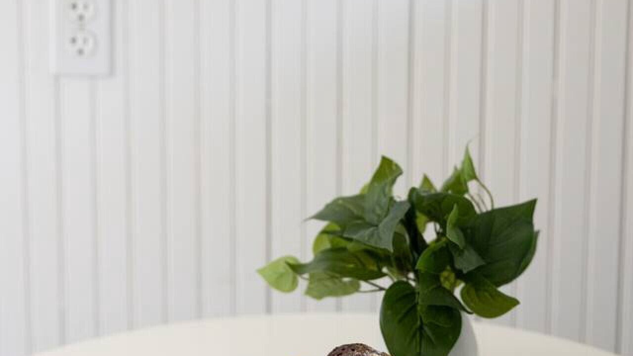 Photo of Others in Newtonville