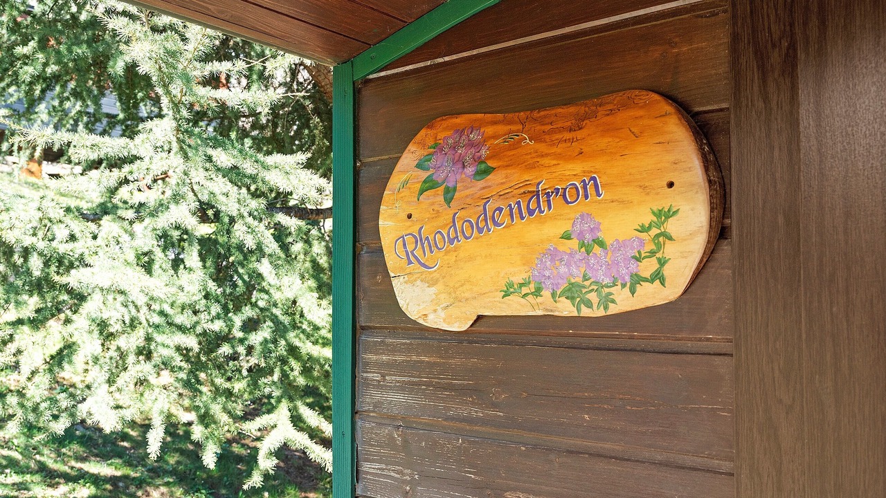 Photo of Outdoor in Gedre