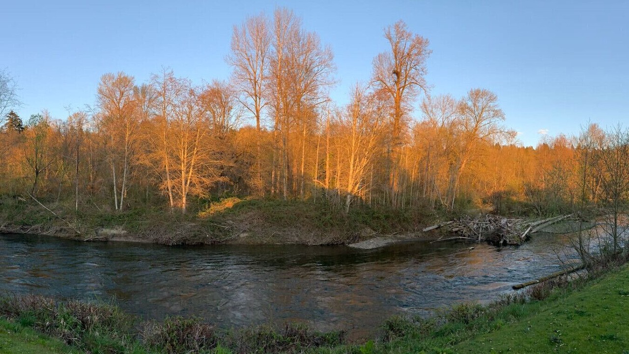 Photo of Others in Auburn