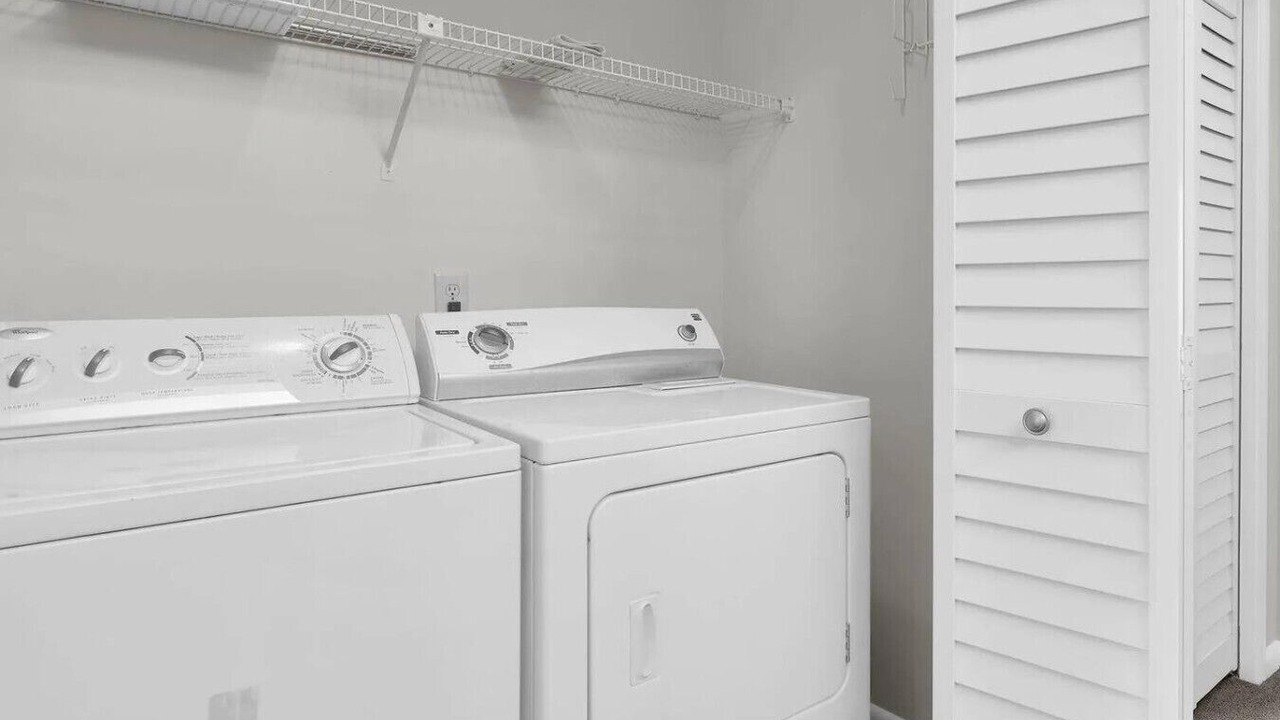 Photo of Others in Palm Valley