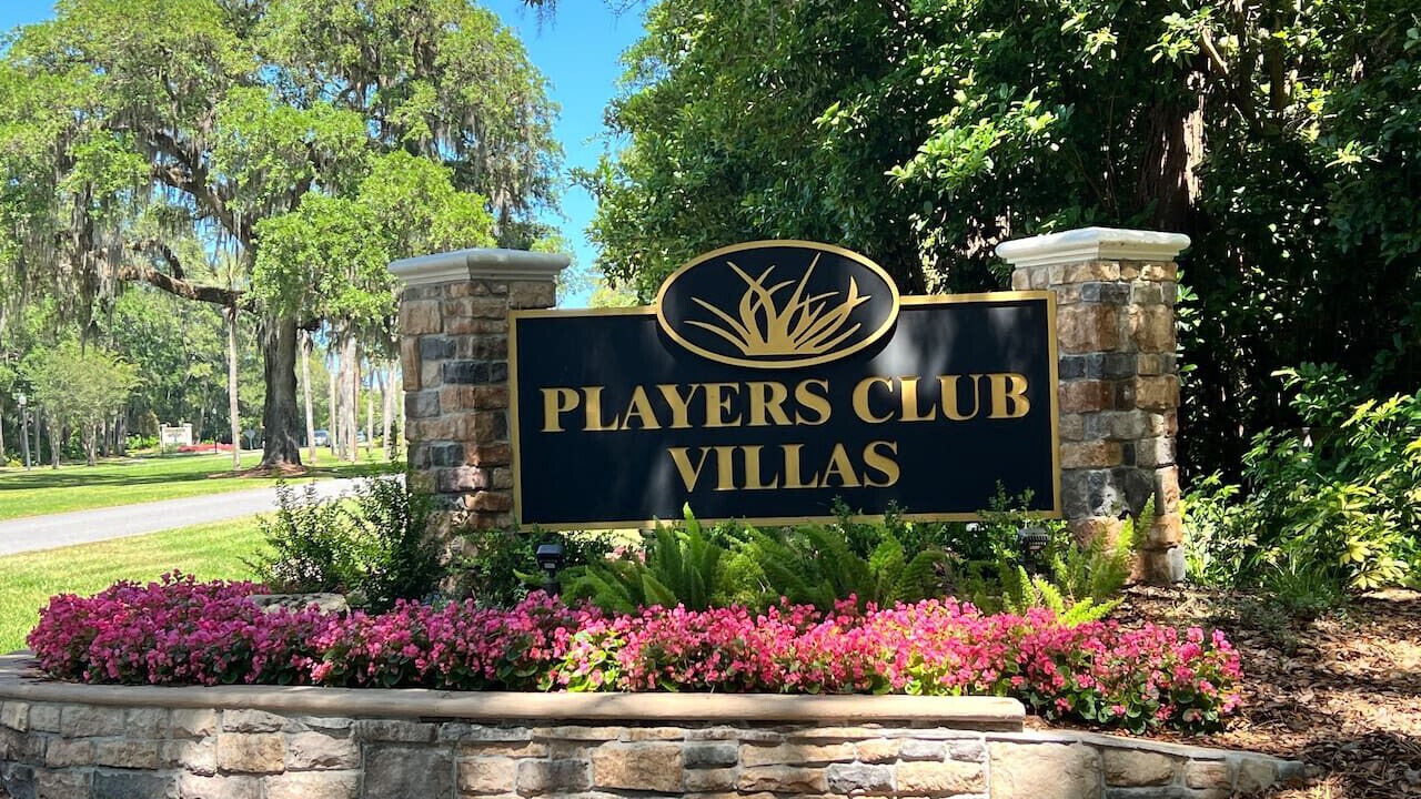 Photo of Others in Palm Valley