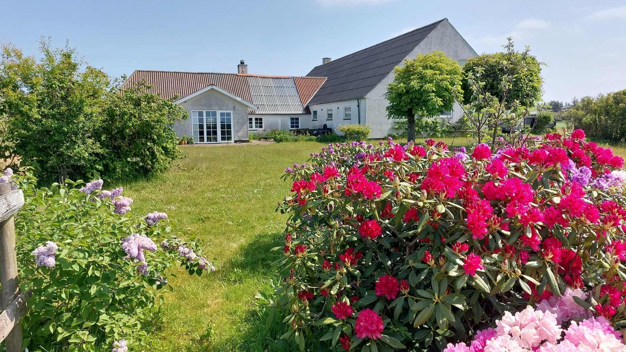 Photo of Others in Bøvlingbjerg