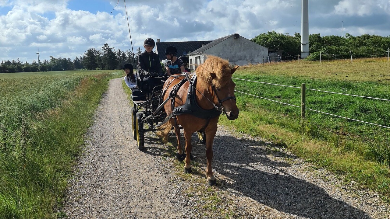 Photo of Others in Bøvlingbjerg