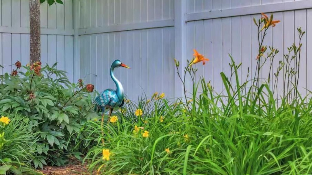 Photo of Outdoor in Westbrook