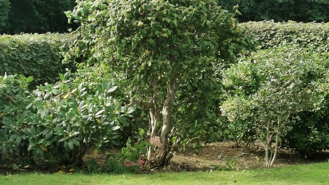 Photo of Outdoor in Ballum