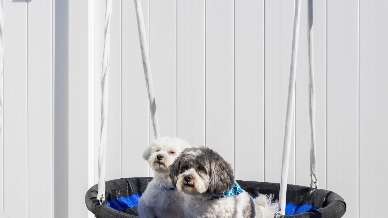 Photo of Outdoor in Venice Gardens