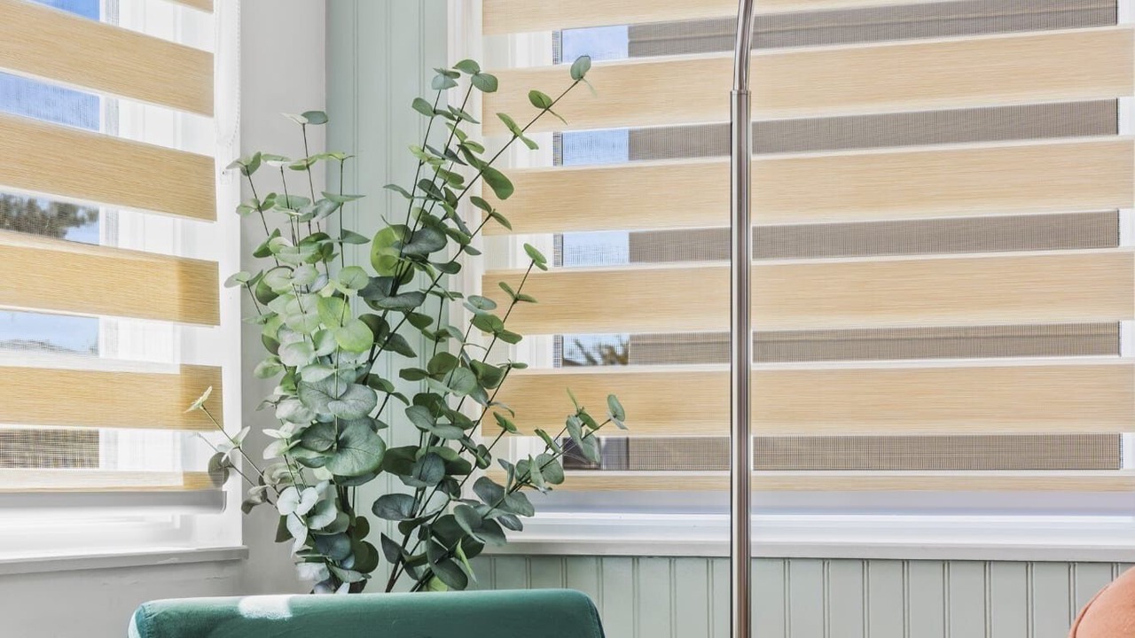 Photo of Others in Venice Gardens