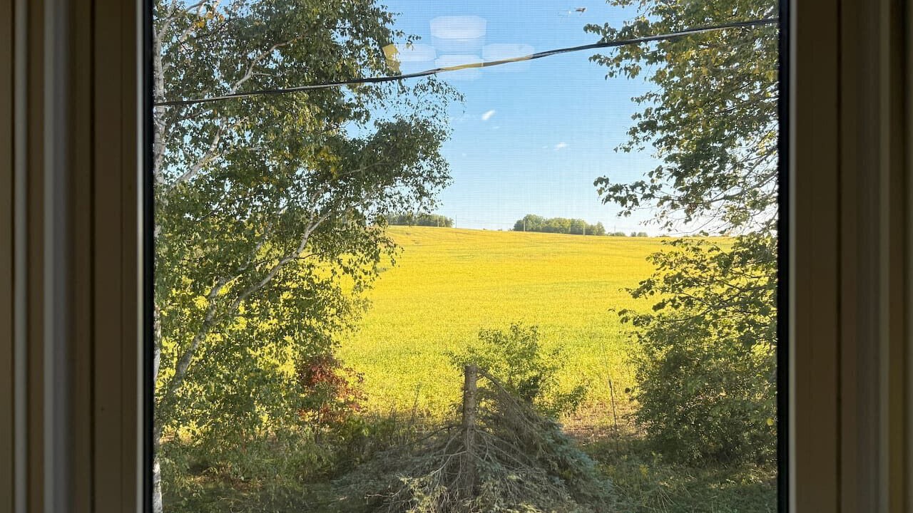 Photo of Others in Colborne