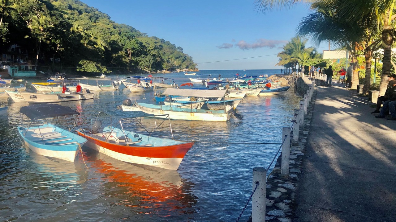 Photo of Others in Boca de Tomatlan