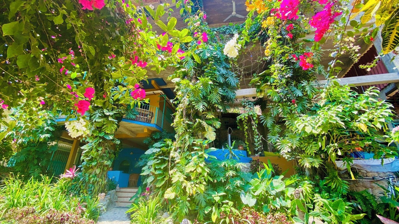 Photo of Outdoor in Boca de Tomatlan