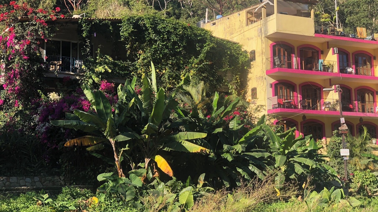 Photo of Outdoor in Boca de Tomatlan