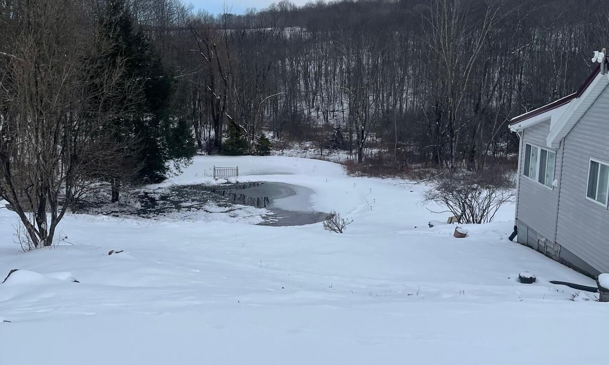 Photo of Others in Susquehanna