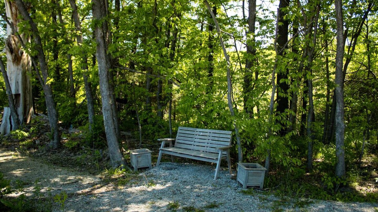 Photo of Outdoor in Cass County