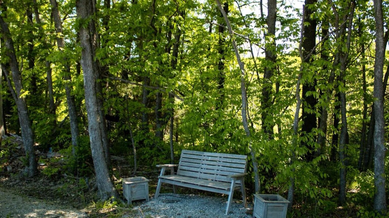 Photo of Outdoor in Cass County