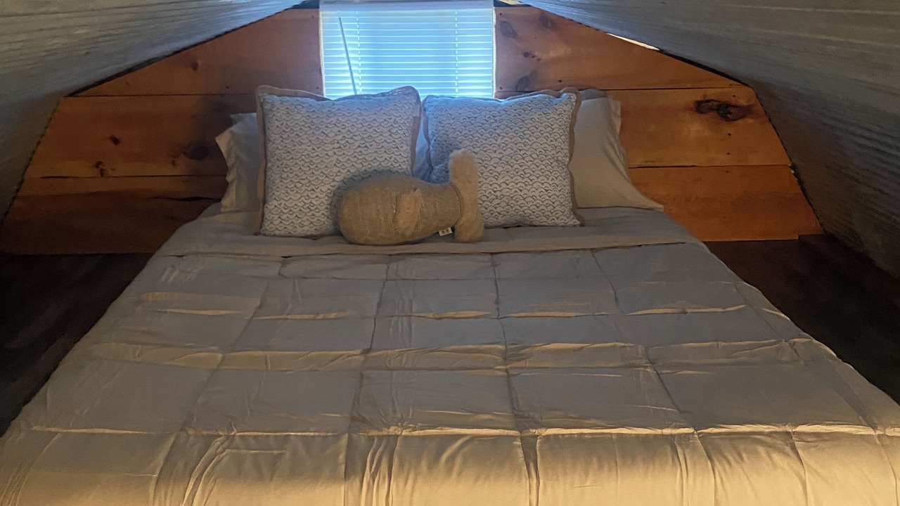 Photo of Bedroom in Redford