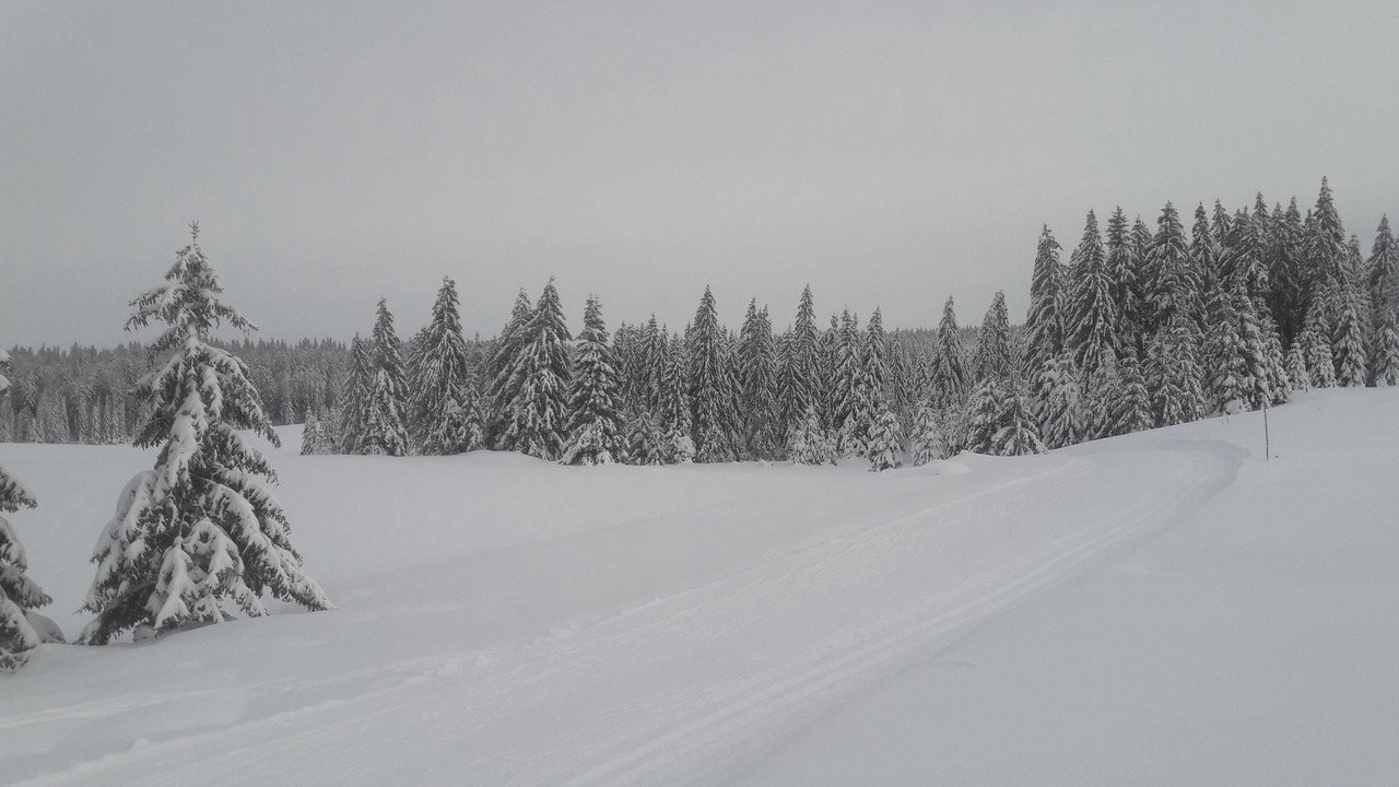 Photo of Others in Les Planches-en-Montagne