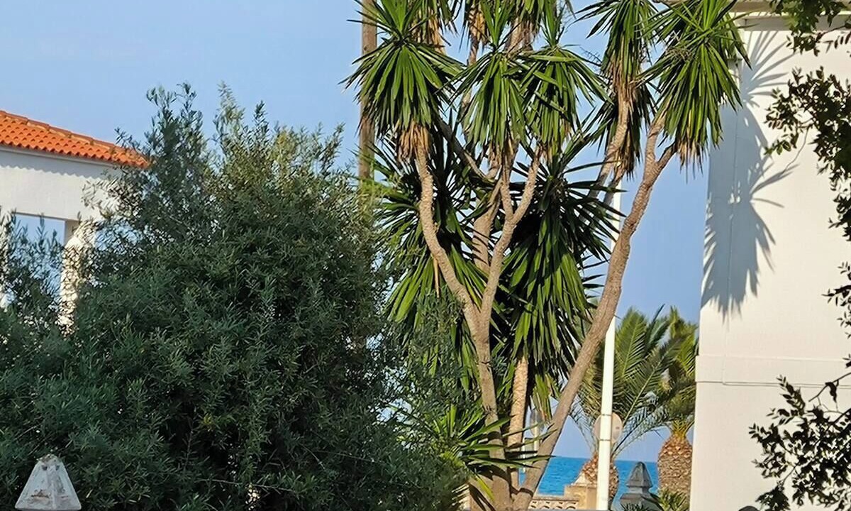 Photo of Outdoor in El Grau de Moncofa