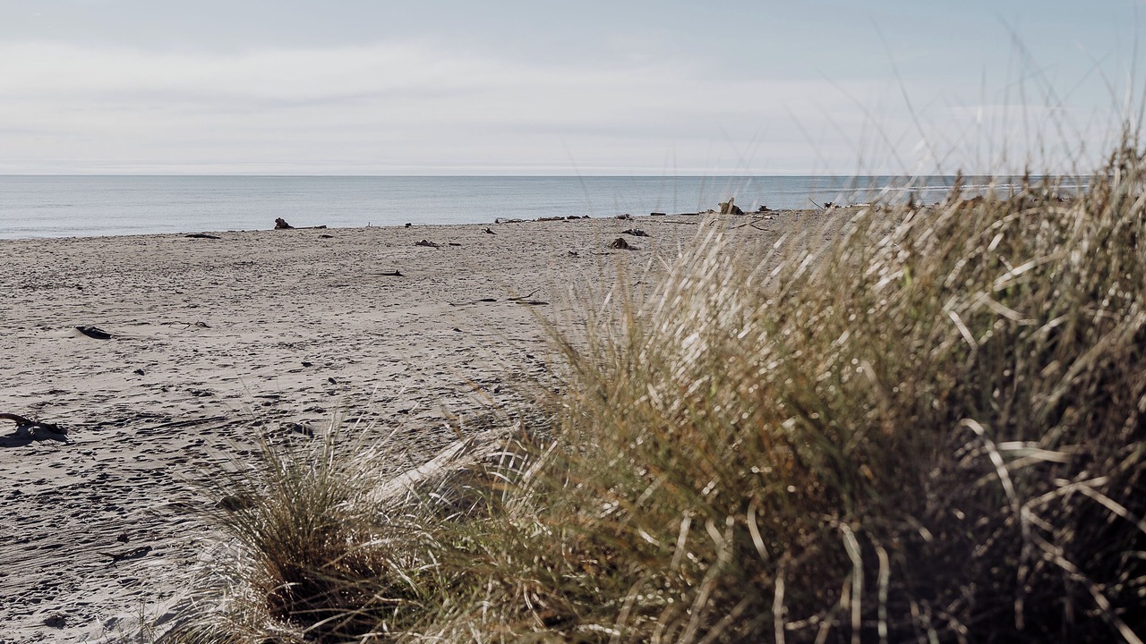 Photo of Others in Hokitika